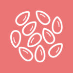 Grains