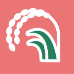 Riz