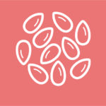 Grains