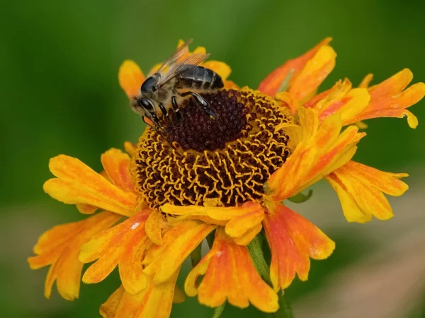 68876ee87f4ebbf2d8c2be6d_n-c-39o6jxUcQKI-unsplash