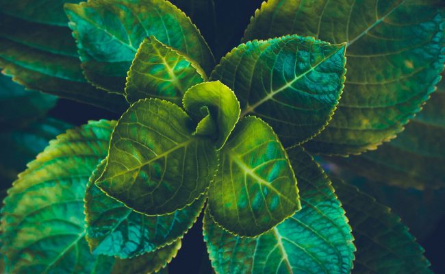 shahadat-rahman-KAnRMYTmnbw-unsplash shahadat-rahman-KAnRMYTmnbw-unsplash